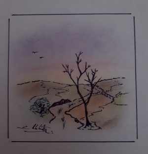 Pedro Estelrich - Angels Canut - Barcelona -